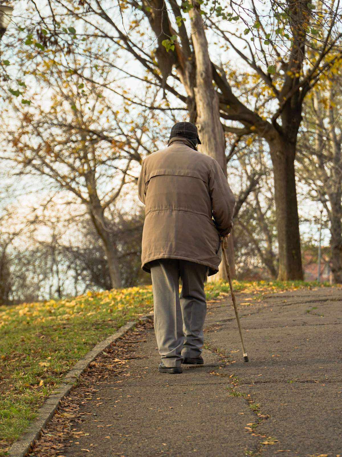 An older man seen from behind walking along a leaf-strewn park path with a wooden walking stick